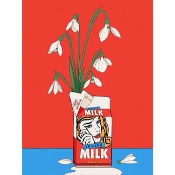 Plakát Plakát, Obraz - Snowdrops in Spilled Milk Carton Retro Illustration, Retrodrome