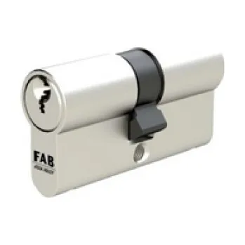 Vložka do dveří Vložka FAB 40+60 3,00/DNs 5 klíčů