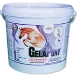 Orling Gelapony Arthro