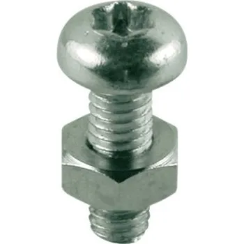 Šroub GIACOMINI R454D Šroub pro objímky R455C M4x12