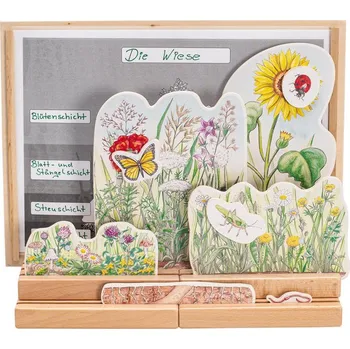 Příroda Vrstvy půdy, louka