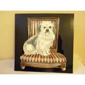 Obklad VELKÁ PORCELÁNOVÁ KACHLE 30 X 30 CM (2)