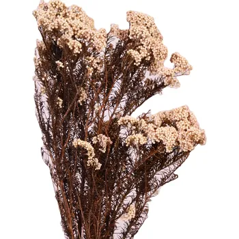 umělá květina Stabilizovaná rýžová tráva - Millet bílá