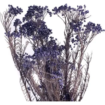 umělá květina Florservice stabilizovaná rýžová tráva - millet fialová