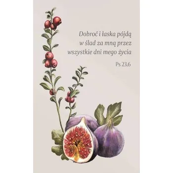 Set školních potřeb Magnes na lodówkę - Dobroć i łaska