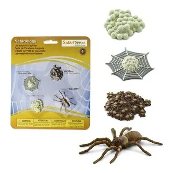 plyšák Životní cyklus - Pavouk