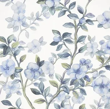 Fototapeta Fototapeta vliesová LJX5-006 Bleu Ciel 250x250 cm