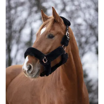 Equithéme EQUITHEME Ohlávka Teddy s rosegold kováním černá, PONY