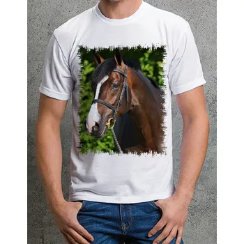 Chlapecké tričko tričko s koněm č. 27 XL