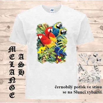 Pánské tričko panske-bavlnene-tricko-uv-potisk-barevni-papousci-Slunce Barva: Ash melange - popelová směs, velikost: 5XL