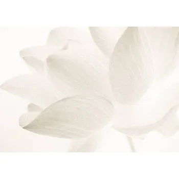 Plakát Plakát, Obraz - sweet color lotus in soft and blur style, number1411