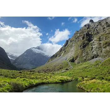 fotoaparát Samsung Galaxy S24 8/256 GB Cobalt Violet