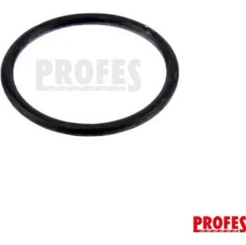 Příslušenství k zahradní technice KÄRCHER Těsnící kroužek 21x1,5 6.363-536.0