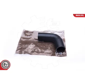 Turbodmychadlo Hadice plnícího vzduchu ESEN SKV 43SKV055