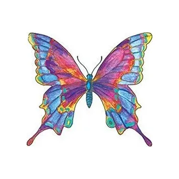 Odstranitelné tetování Barevný motýl - nalepovací tetování