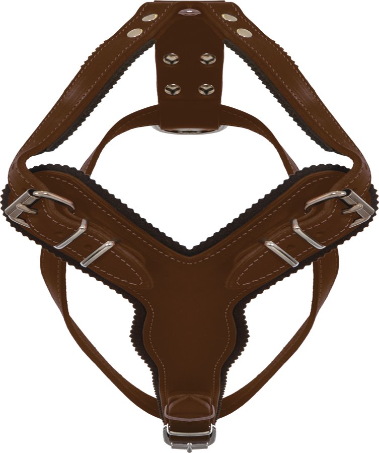 BF Postroj pro psy - kožený - robustní - hnědý Velikost: OK: 48-69 cm, OH: 66-81 cm