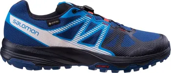 Pánská běžecká obuv Salomon XA Siwa GTX L47066400