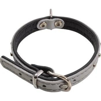Obojek pro psa BF Kožený obojek DENYS šedý Velikost: 27 až 33 cm / 14 mm