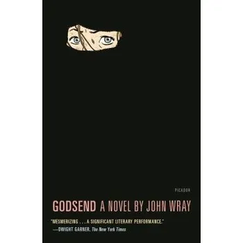 Cizojazyčná kniha Godsend - Wray, John