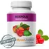 MycoMedica Acerola 500 mg, 90 cps.