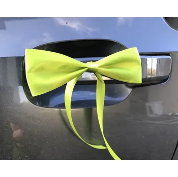 Svatební dekorace Svatba-eshop Saténová mašle světle zelená se stuhou k nalepení - dekorace na svatební auto