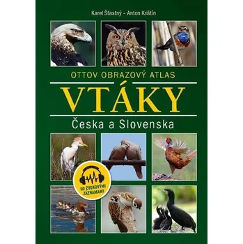 Příroda Vtáky Česka a Slovenska