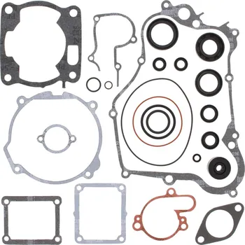 Těsnění motoru Sada těsnění motoru kompletní vč. gufer motoru WINDEROSA CGKOS 811631