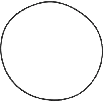 Těsnění motoru Těsnění víka zapalování WINDEROSA ICG 817819