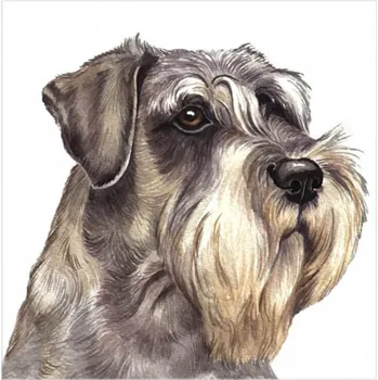 WaggyDogz Přání 01035 - 16x16cm - Schnauzer
