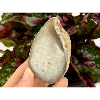 Sběratelství Achát geoda světlehnědá 145 g