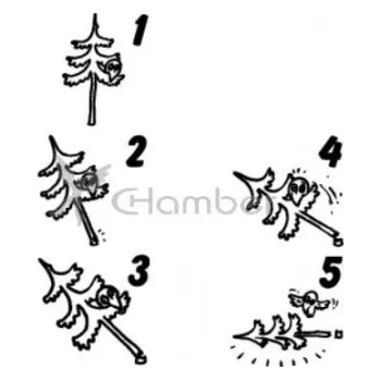 Dětské razítko Razítka sada Strom R21
