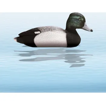 Lovecká vábnička Balabán Tufted Duck chocholačka copánka - slepice