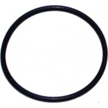 Kroužek čerpadla 38 x 2