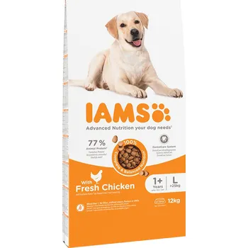 Krmivo pro psa 2x12kg IAMS for Vitality Dog Adult Large Chicken - výhodné balení