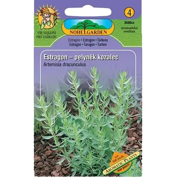 Semeno Semena Estragon – Pelyněk kozalec - Artemisia dracunculus 2.jakost