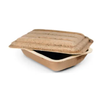 Jednorázové nádobí Box s víčkem z palmových listů 18x14x6 cm - 300 ml