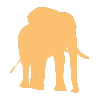 Samolepící dekorace Slon 009 pravá (08 - béžová) SAMOLEPKA NA AUTO, NÁLEPKA, FÓLIE, POLEP, TUNING, VLASTNÍ TEXT, TISK, AUTOSAMOLEPKY.cz, POLEPY, OBRÁZEK, LOGO, 3D STICKERS