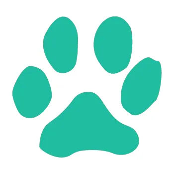 Samolepící dekorace SAMOLEPKA Tlapka 001 pravá (25 - tyrkysová) NA AUTO, NÁLEPKA, FÓLIE, POLEP, TUNING, VLASTNÍ TEXT, TISK, AUTOSAMOLEPKY.cz, POLEPY, OBRÁZEK, LOGO, SAMOLEPKY