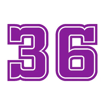 Polep vozidla Startovní číslo 36 typ 5 (14 - fialová) SAMOLEPKA NA AUTO, NÁLEPKA, FÓLIE, POLEP, TUNING, VLASTNÍ TEXT, TISK, AUTOSAMOLEPKY.cz, POLEPY, OBRÁZEK, LOGO, 3D STICKERS