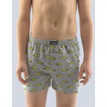 Gina 25012P šedé/pampeliškové 116/122