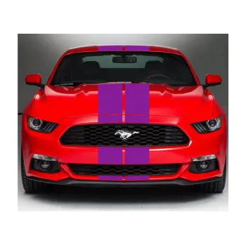 Polep vozidla Viper pruhy 18 cm (dva stejně široké) (14 - fialová) SAMOLEPKA NA AUTO, NÁLEPKA, FÓLIE, POLEP, TUNING, VLASTNÍ TEXT, TISK, AUTOSAMOLEPKY.cz, POLEPY, OBRÁZEK, LOGO, 3D STICKERS