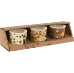 Harasim Sada hrnků na kávu 100 ml 3 ks