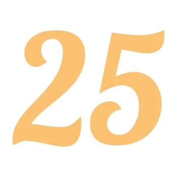 Polep vozidla Startovní číslo 25 typ 3 (08 - béžová) SAMOLEPKA NA AUTO, NÁLEPKA, FÓLIE, POLEP, TUNING, VLASTNÍ TEXT, TISK, AUTOSAMOLEPKY.cz, POLEPY, OBRÁZEK, LOGO, 3D STICKERS