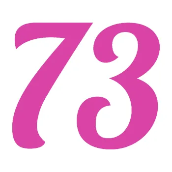 Polep vozidla SAMOLEPKA Startovní číslo 73 typ 3 (16 - růžová) NA AUTO, NÁLEPKA, FÓLIE, POLEP, TUNING, VLASTNÍ TEXT, TISK, AUTOSAMOLEPKY.cz, POLEPY, OBRÁZEK, LOGO, SAMOLEPKY