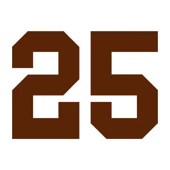 Polep vozidla Startovní číslo 25 (15 - hnědá) SAMOLEPKA NA AUTO, NÁLEPKA, FÓLIE, POLEP, TUNING, VLASTNÍ TEXT, TISK, AUTOSAMOLEPKY.cz, POLEPY, OBRÁZEK, LOGO, 3D STICKERS