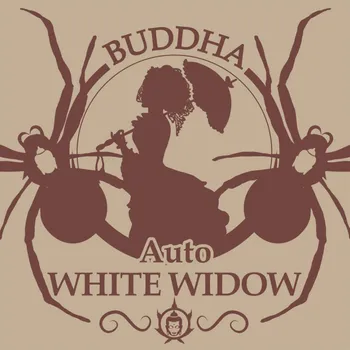 Semeno Buddha Auto White Widow fem. | Classics (balení 3)