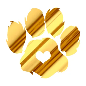 samolepka Tlapka 006 pravá (81 - chrom fólie zlatá zrcadlová) SAMOLEPKA NA AUTO, NÁLEPKA, FÓLIE, POLEP, TUNING, VLASTNÍ TEXT, TISK, AUTOSAMOLEPKY.cz, POLEPY, OBRÁZEK, LOGO, 3D STICKERS