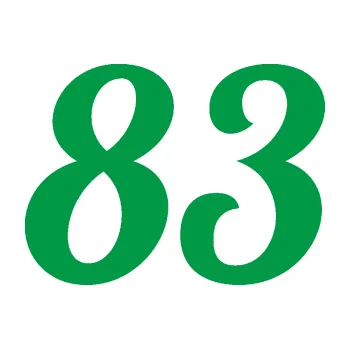 Polep vozidla Startovní číslo 83 typ 3 (12 - zelená) SAMOLEPKA NA AUTO, NÁLEPKA, FÓLIE, POLEP, TUNING, VLASTNÍ TEXT, TISK, AUTOSAMOLEPKY.cz, POLEPY, OBRÁZEK, LOGO, 3D STICKERS