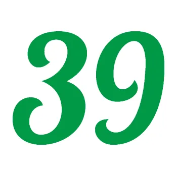 Polep vozidla Startovní číslo 39 typ 3 (12 - zelená) SAMOLEPKA NA AUTO, NÁLEPKA, FÓLIE, POLEP, TUNING, VLASTNÍ TEXT, TISK, AUTOSAMOLEPKY.cz, POLEPY, OBRÁZEK, LOGO, 3D STICKERS