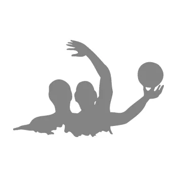 Polep vozidla SAMOLEPKA Vodní pólo 001 pravá (17 - šedá) NA AUTO, NÁLEPKA, FÓLIE, POLEP, TUNING, VLASTNÍ TEXT, TISK, AUTOSAMOLEPKY.cz, POLEPY, OBRÁZEK, LOGO, SAMOLEPKY